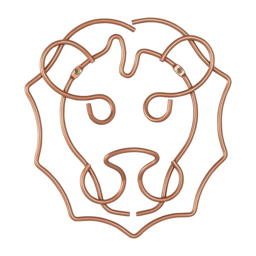 Suport decorativ perete Lion, Metaltex, 27 x 30 cm,  inox, aramiu