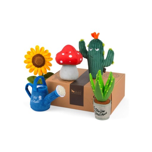 Jucării pentru câine 5 buc. Blooming Buddies – P.L.A.Y.