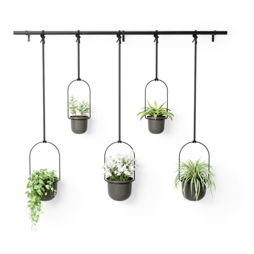 Ghivece decorative 5 buc. din plastic pentru ierburi aromatice/de agățat / de perete ø 7,5 cm Triflora – Umbra