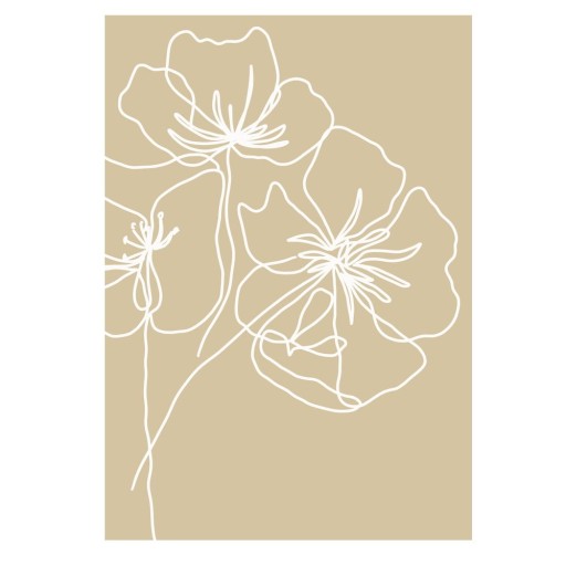 Poster 29x41 cm White Poppy – Veronika Boulová