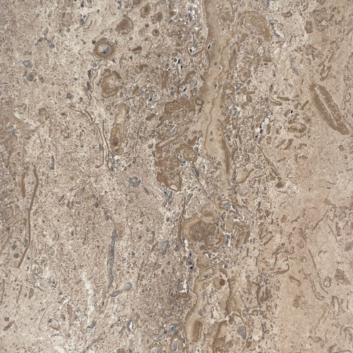 Travertin Latte PREMIUM Periat, 30.5 x 15.2 x 3 cm