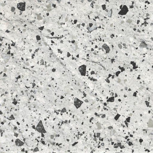 Gresie portelanata rectificata FMG Venice Villa 60x60cm  10mm  Silver Strutturato