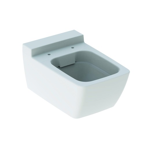Vas WC suspendat Geberit Xeno2 Rimfree 54cm  KeraTect alb