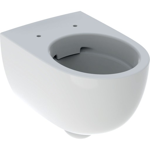 Vas wc suspendat Geberit Selnova Rimfree  prinderi ascunse