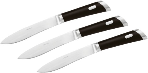 Set cutite friptura Sambonet T-Bone Smooth Blade  3 piese