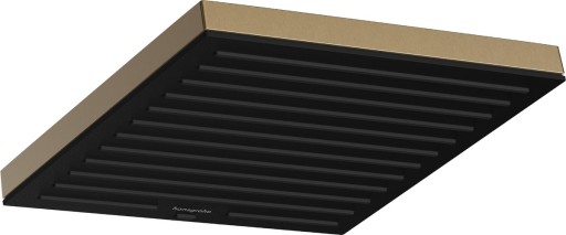 Palarie dus Hansgrohe Pulsify S 260 EcoSmart cu 1 jet  bronz periat
