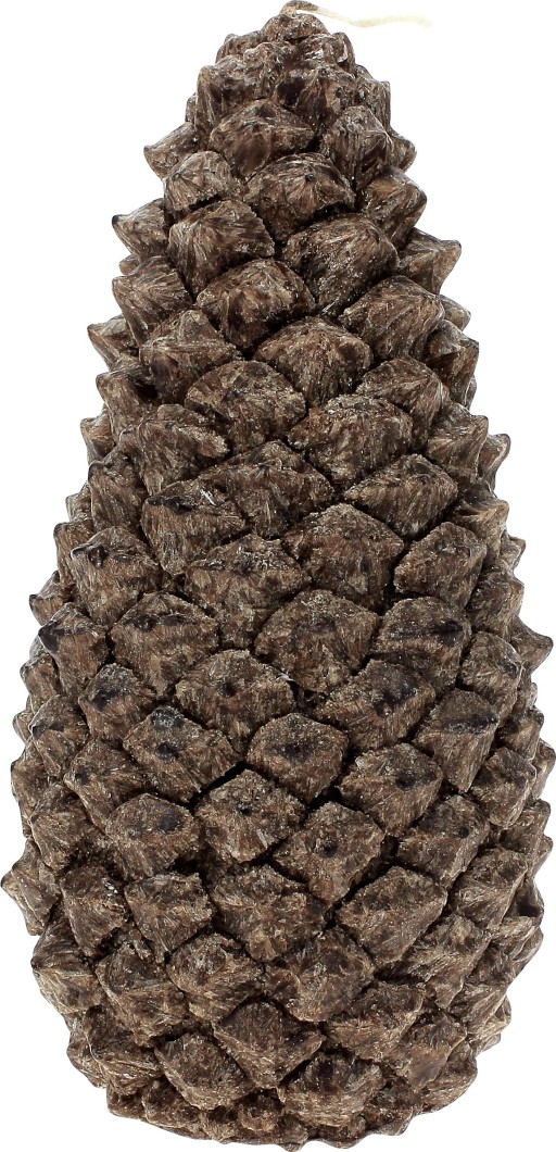 Lumanare parfumata La Francaise Feeries Vegetales Pommes de Pin L  45 ore  Marron