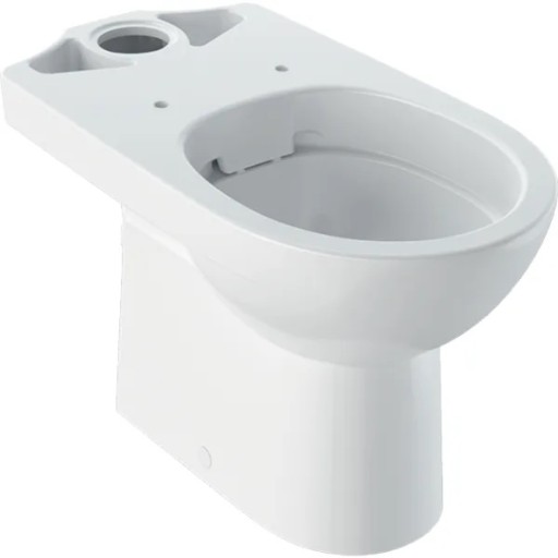 Vas wc pe pardoseala Geberit Selnova Rimfree  alb