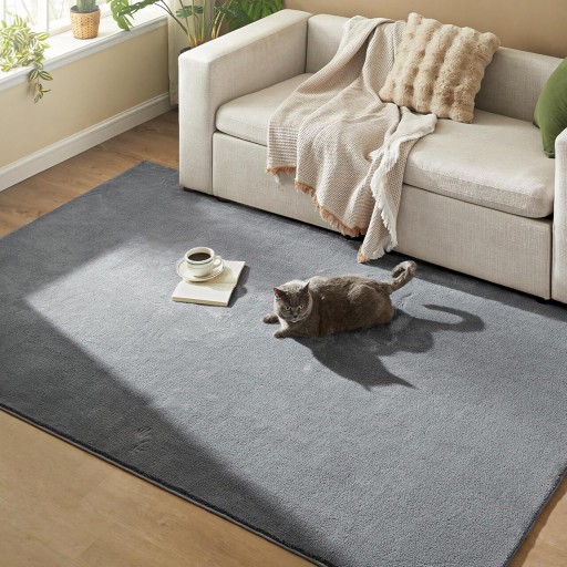 Covor antiderapant Songmics Area, 160x230 cm, lavabil la masina, poliester, gri dove