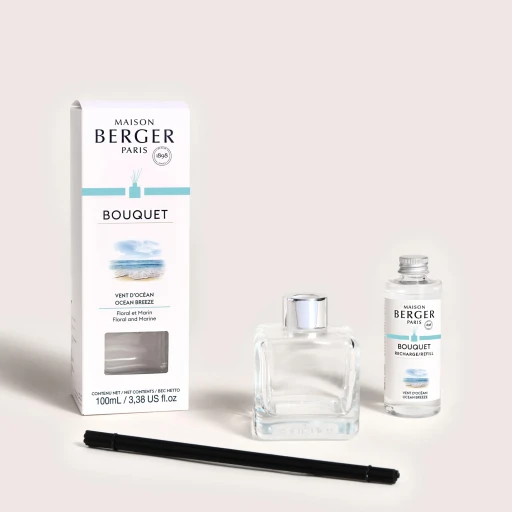 Difuzor parfum camera Maison Berger Ice Cube cu parfum Vent d'Ocean 100ml
