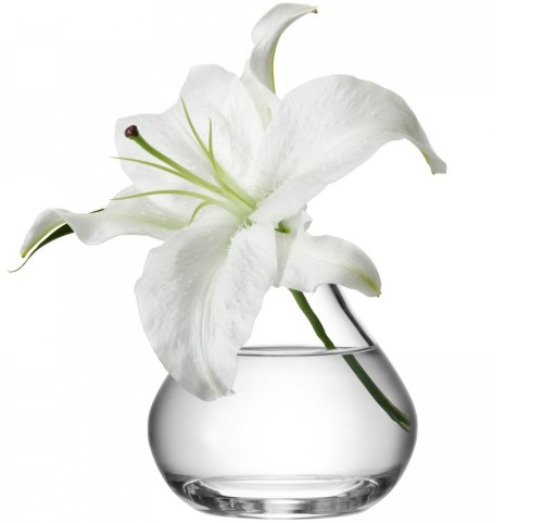 Vaza LSA International Flower Sprig h11cm