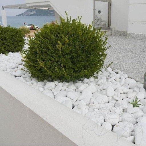 Pebbles Marmura Alba Thassos, 6-10 cm KG