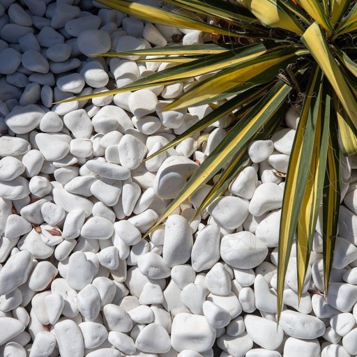Pebbles Marmura Alba Thassos, 1-3 cm KG