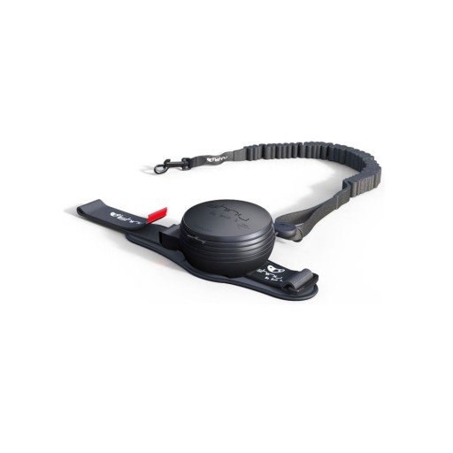 Lesă neagră M 3 Bungee – Lishinu