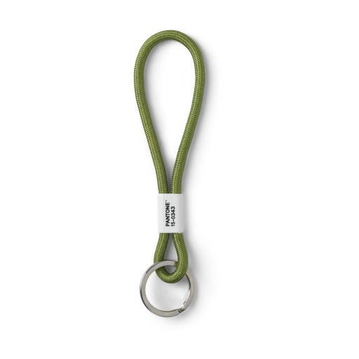 Breloc Green 15-0343 – Pantone
