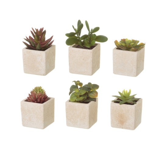 Plante artificiale 6 buc. (înălțime 9,5 cm) Cactus – Casa Selección