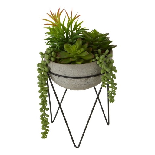 Suculentă artificială (înălțime 36 cm) Fiori – Premier Housewares