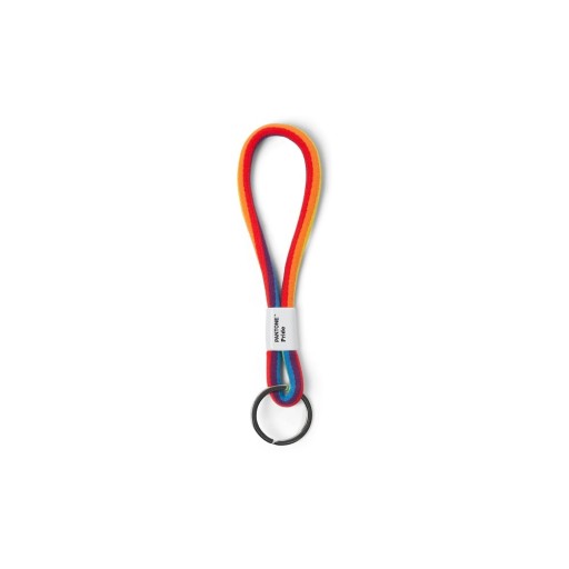 Breloc S Pride – Pantone
