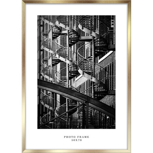 Ramă foto de perete Styler Floryda, 53 x 73 cm, auriu