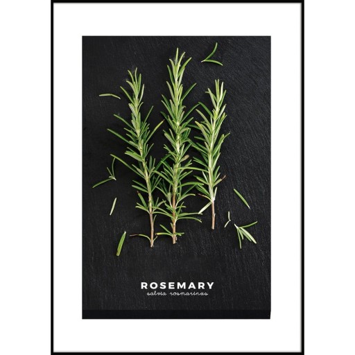Tablou 50x70 cm Rosemary – Styler