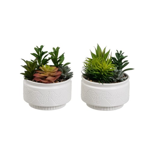 Plante artificiale 2 buc. (înălțime 19 cm) Cactus – Casa Selección