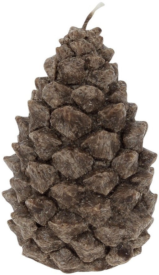 Lumanare parfumata La Francaise Feeries Vegetales Pommes de Pin S  6 ore  Marron