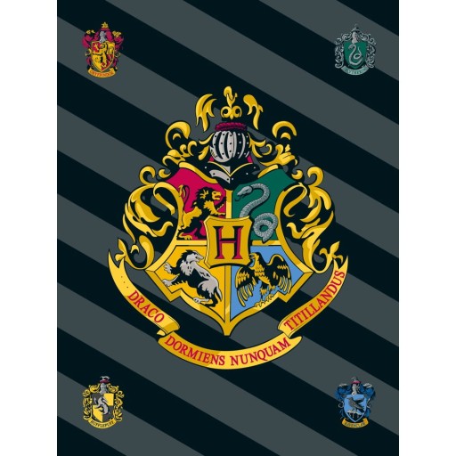 Pătură pentru copii din polar/fleece 100x150 cm Harry Potter – Jerry Fabrics