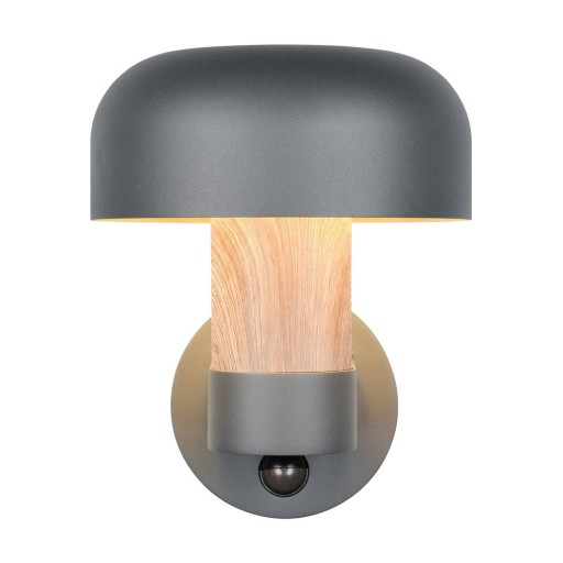 Corp de iluminat pentru exterior, de perete (înălțime 24,5 cm) Fraser – Trio