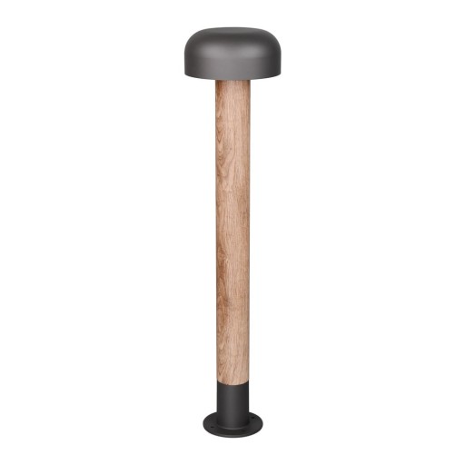 Corp de iluminat pentru exterior cu stâlp de fixare ø 19 cm Fraser – Trio