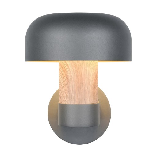 Corp de iluminat pentru exterior, de perete (înălțime 24,5 cm) Fraser – Trio