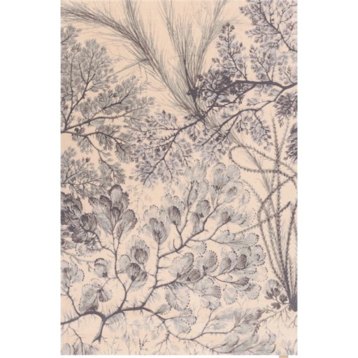 Covor verde mentă/bej din lână 133x190 cm V&A Calisia Kelp – Agnella