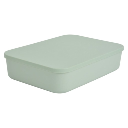Cutie de depozitare verde-deschis din plastic cu capac 35,5x25,5x8 cm – Homéa