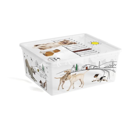 Cutie de depozitare albă din plastic cu capac 40x34x17 cm C Box Style – KIS
