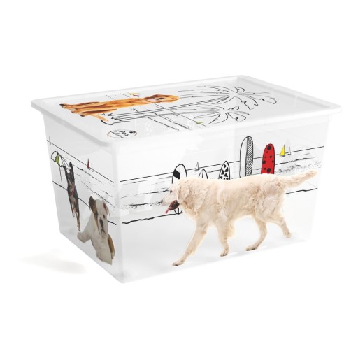 Cutie de depozitare albă din plastic cu capac 55x39x31 cm C Box Style – KIS