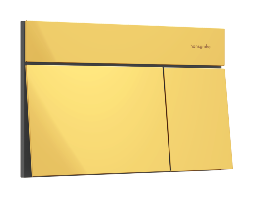 Clapeta Hansgrohe iFrame Element E  gold optic