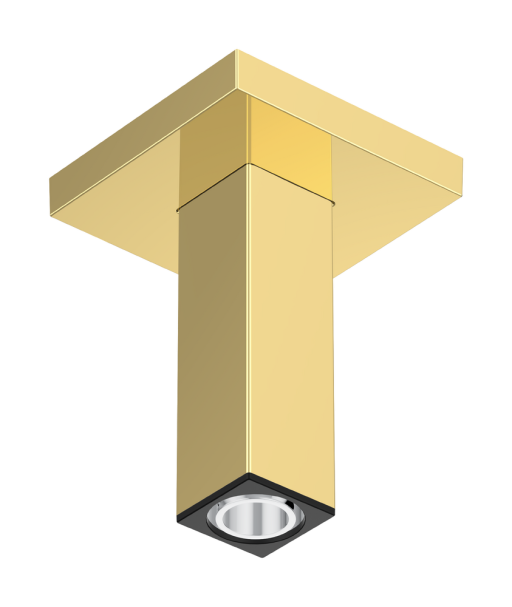 Brat de dus Hansgrohe E 10cm  de tavan  gold optic
