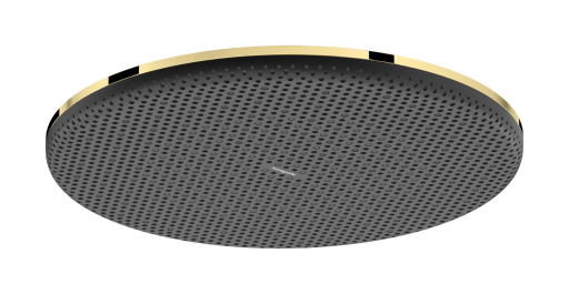 Palarie de dus Hansgrohe Raindance Alive Select S 300 1 jet EcoSmart gold optic