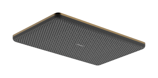 Palarie de dus Hansgrohe Raindance Alive Select Q 210x340 1 jet EcoSmart bronz periat