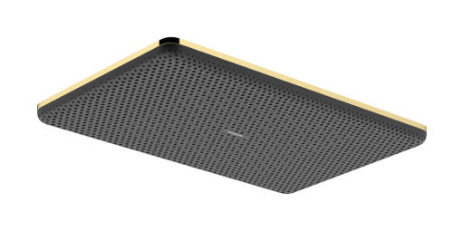 Palarie de dus Hansgrohe Raindance Alive Select Q 210x340 1 jet EcoSmart gold optic
