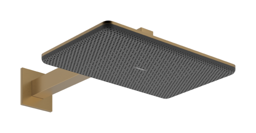 Palarie de dus Hansgrohe Raindance Alive Select Q 210x340 2jet EcoSmart cu brat de dus de perete 39cm  bronz periat