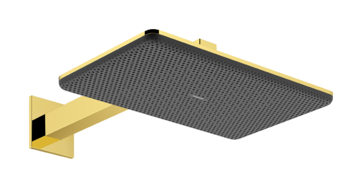 Palarie de dus Hansgrohe Raindance Alive Select Q 210x340 2jet EcoSmart cu brat de dus de perete 39cm  gold optic