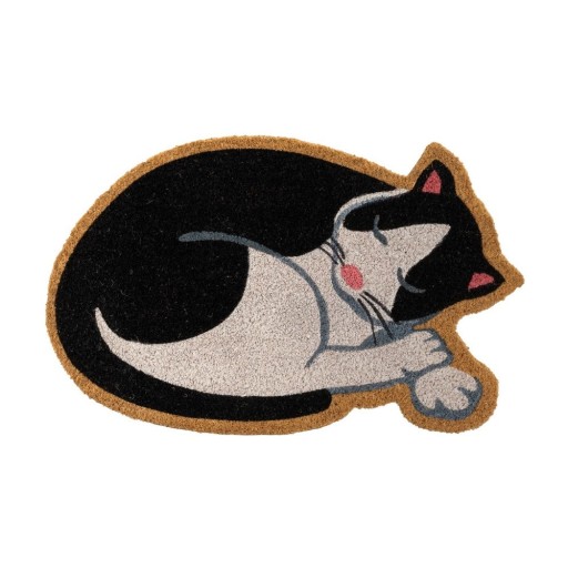 Covoraș de intrare din fibre de nucă de cocos 40x60 cm Cat – Casa Selección