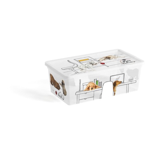 Cutie de depozitare albă din plastic cu capac 34x19x12 cm C Box Style – KIS