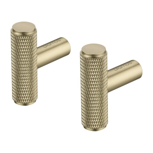 Cârlige alămii 2 buc. de montat pe perete din metal Rof – Blomus