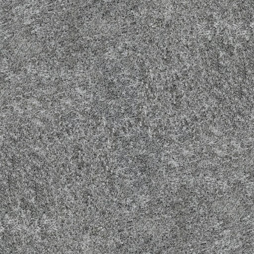 Piatra Sinterizata L'ALTRA PIETRA Colosseo Gletcher Grau, 120 X 40 X 2 cm, R11 - Antiderapanta pt exterior