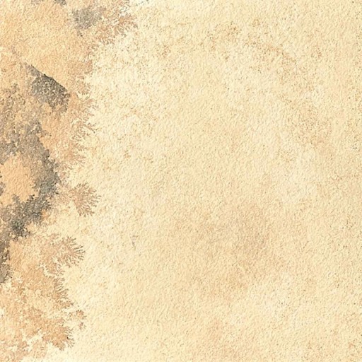 Piatra Sinterizata Hardscape Monviso Fossil, 90 X 60 X 2 cm, R11 - Antiderapanta pt exterior