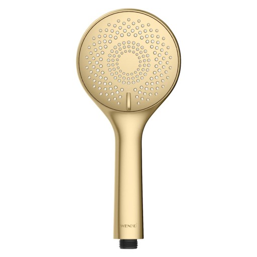 Cap de duș economic auriu mat din plastic ø 11 cm Watersaving System – Wenko