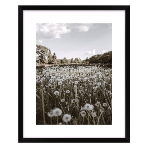 Tablou 40x50 cm Meadow – knor
