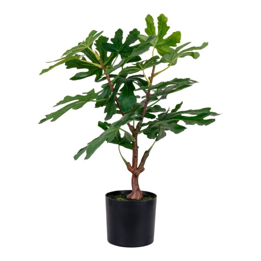 Plantă artificială (înălțime 60 cm) Fig – House Nordic