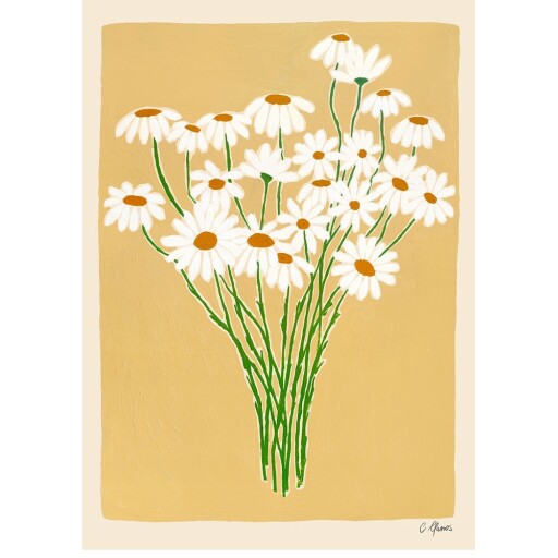 Poster 30x40 cm Daisies – The Poster Club